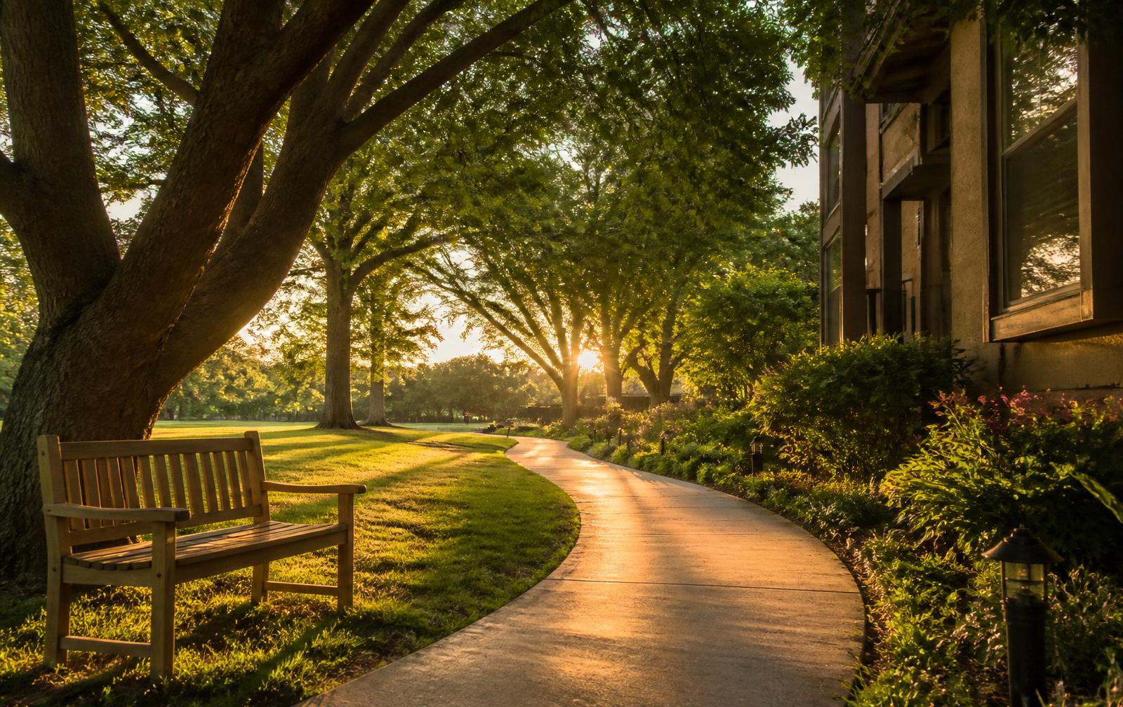 Garden walking path at sunset